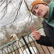 Doy clases a domicilio de matemáticas y física de ESO y bachillerato